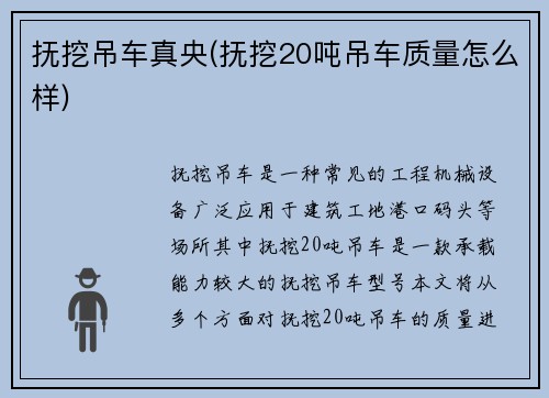 抚挖吊车真央(抚挖20吨吊车质量怎么样)